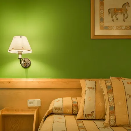 Hotel Aran La Abuela 3*